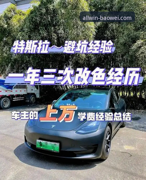 资深用户分享宝威体育登录实战经验：从下载到充值全流程避坑指南